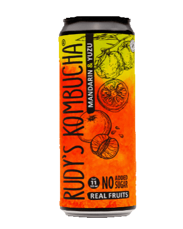 Fermented Tea Sticker by rudyskombucha