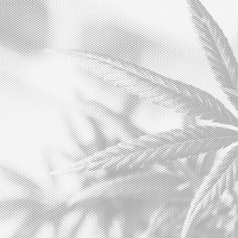 Ndabg GIF by Nevada Dispensary Association