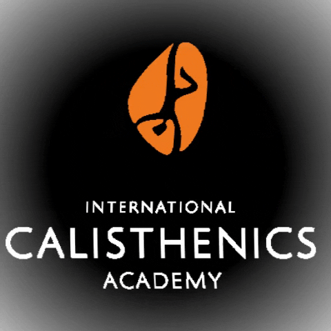 Calisthenics Academy GIF