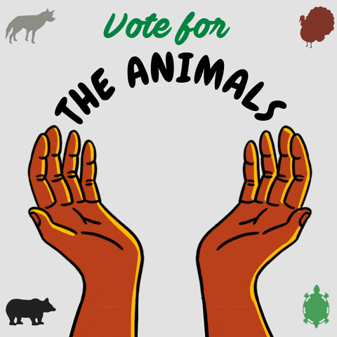 Illustrated gif. Brown hands stretched upward on a misty gray background, cradling a wave, a tree, a bison, the Earth, framed by silhouettes of a bear, a wolf, a turkey, and a turtle. Text, "Vote for the waters, the land, the animals, the Earth."