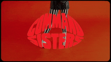 Lipstick Intro GIF by Command Sisters