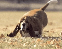 Running Chibi Fat Dog GIFs - Get the best GIF on GIPHY