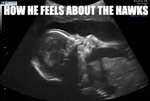  hawkeyes iowa hawkeyes cyclones iowa state go cyclones GIF