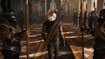 witcher 3 empire GIF