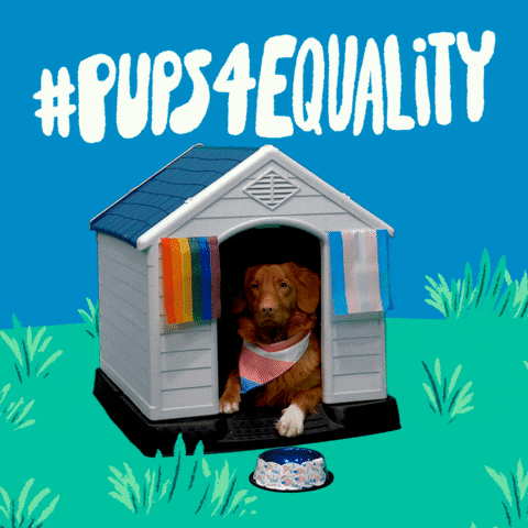 Video gif. Dog wearing a neckerchief leans out of a dog house to sip from a water bowl between a rainbow pride flag and a transgender flag. Illustrated grass surrounds the house while a rainbow arches over the roof, then retreats into the ground. Text, "hashtag pups for equality."