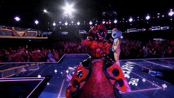 Themaskedsinger Maskedsinger Maskedsingerseason2 GIF by The Masked Singer