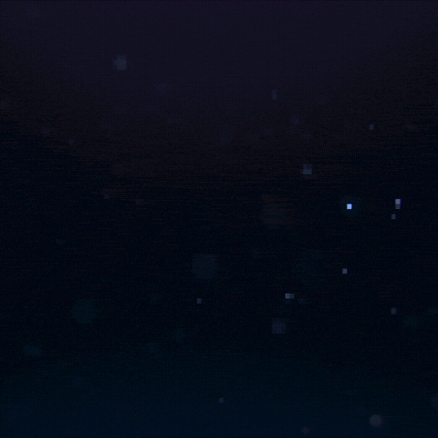 Zuddl GIF