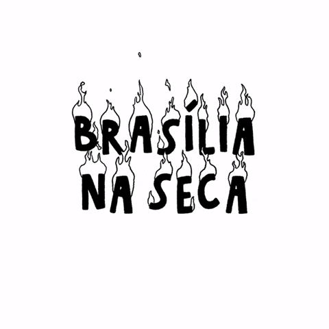 verduraocamisetas Df bsb brasilia camiseta GIF