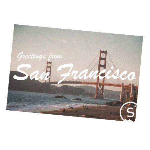 Steller Stories Sticker