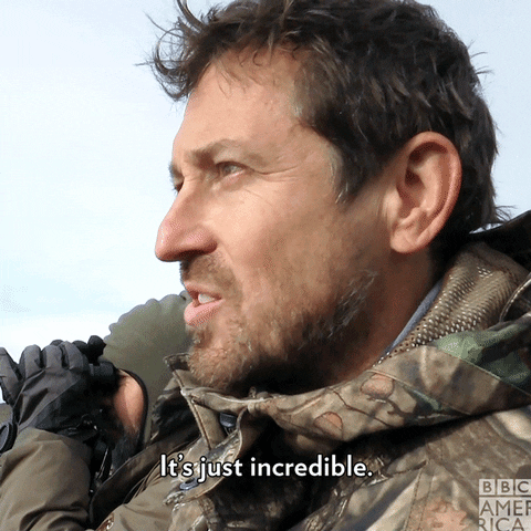 Behind The Scenes Wildlife GIF by BBC America