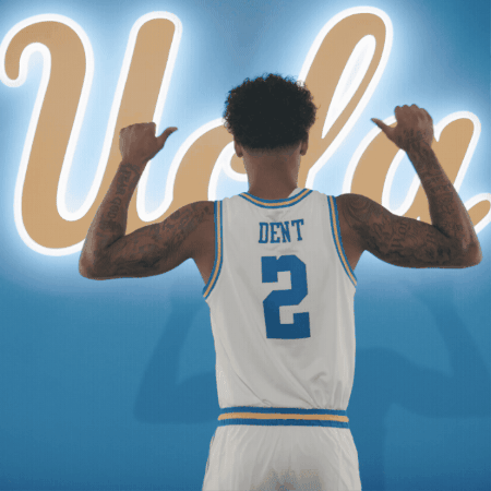 UCLAMBB GIF