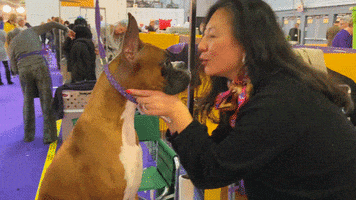 Dog Show Kiss GIF by Westminster Kennel Club