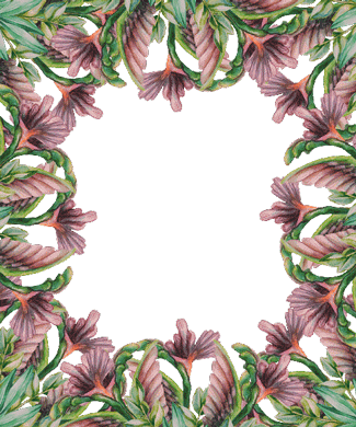 Coffee Flowers Sticker by Gala von Eduscho