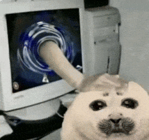 Seal GIF