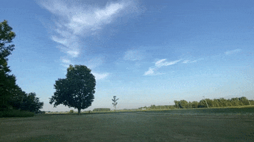 Rc GIF