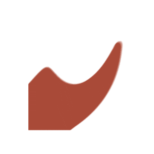 ESA Pernambuco Sticker