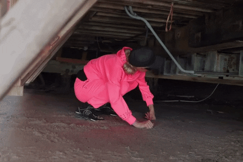 giphy.gif?cid=2154d3d716386424096be0a3d6