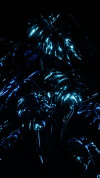 4k Wallpaper GIFs - Find & Share on GIPHY