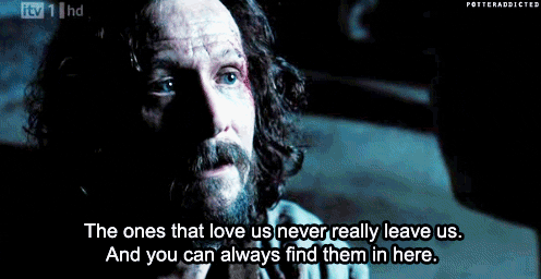 harry potter love GIF