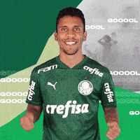 Puma Libertadores GIF by SE Palmeiras