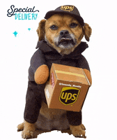 Deliver Amazon GIF