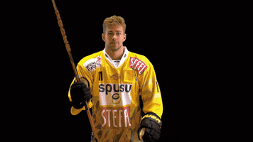 Awesome Hockey GIF by Vienna Capitals