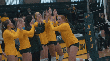 North Dakota State Volleyball GIF by NDSU Athletics