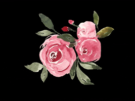 Flower Roses Valentine GIF