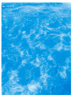 Water Sea GIF by Podachine