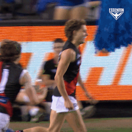 Celebrate Aussie Rules GIF by Essendon FC - Find & Share ...