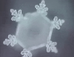 Water Snowflake GIF by HuMandalas