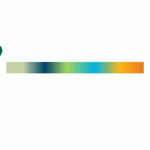 GIF by Northwest Missouri State University
