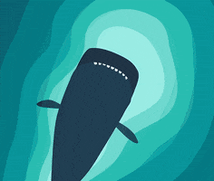 animation swimming GIF by Rory