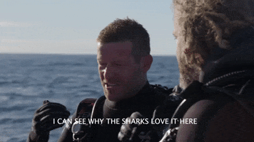 New Zealand Love GIF by Shark Week
