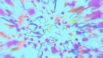 my_Nahibu gut microbiome humain champignons GIF