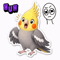 Bird GIF