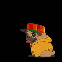 LespriMawon creole barbe lespri mawon club lespri mawon GIF