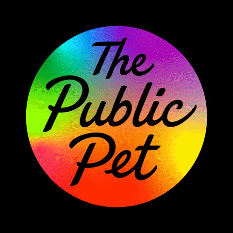 Cat Dog GIF by The Public Pet