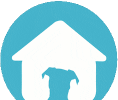 Aqua Dog House GIF by FosterDogs