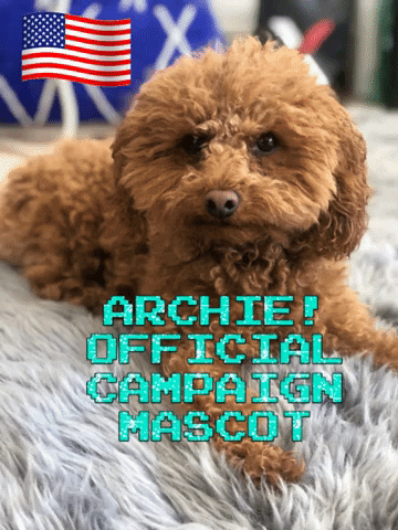 Brynne Kennedy for Congress GIF