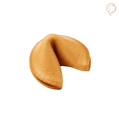 Pet Novo Post Sticker by TUDODVET