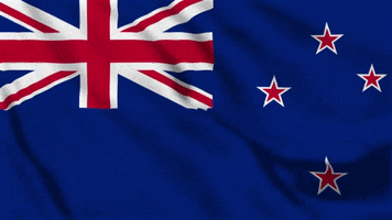 Website_Angels flag new zealand kiwi nz GIF