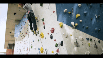 Griffwerk Klettern GIF