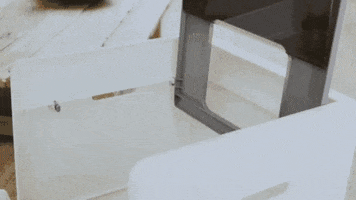 Cat Must See GIF by CreatorFocus.com