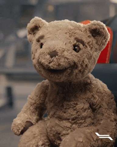 Flytoget GIF