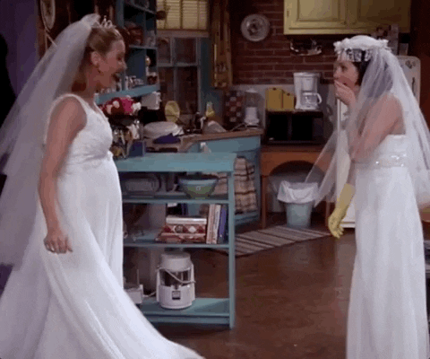 giphy.gif?cid=790b7611a8d8a836d304cadd5f