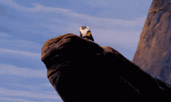 Simba Its Time GIF
