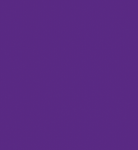 40 GIF by Synopsys Inc.