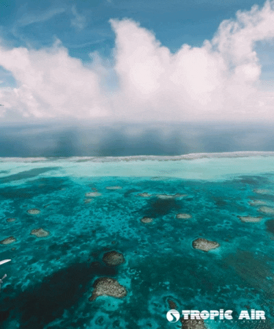 San Pedro Travel GIF by Tropic Air Belize