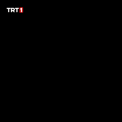 Ottoman Empire Reaction GIF by TRT